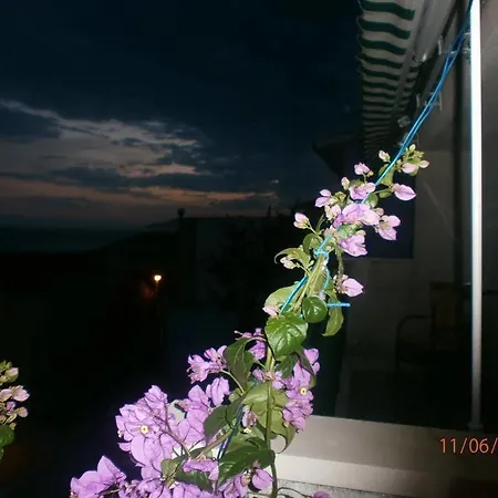 Luce Makarska